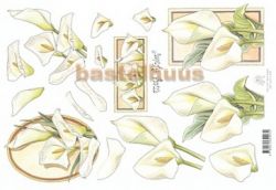 Callas MARIJ RAHDER V 2440